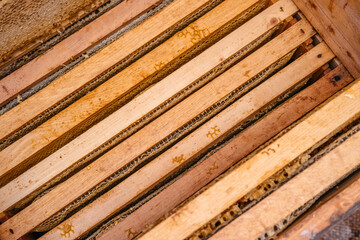 Frame with honeycomb. The honey in the frame is prepared for downloading and filling. Wooden frames of honey are installed in the hive. Bee house, beekeeping.