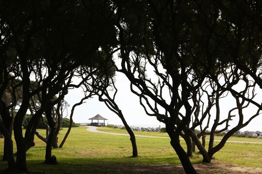 Fort Fisher State Historic Site, Kure Beach, Nc