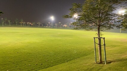 Fototapeta premium swing in the park