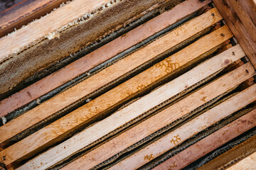 Frame with honeycomb. The honey in the frame is prepared for downloading and filling. Wooden frames of honey are installed in the hive. Bee house, beekeeping.