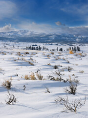 Sagebrush on Blacktail Deer Plateau in winter with Washburn Range in Yellowstone National Park