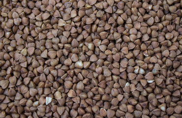 The texture of buckwheat