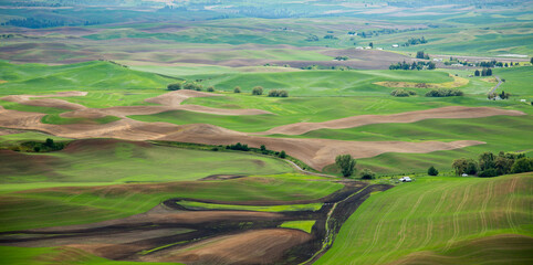 A view from the top of Steptoe Butte  of wheat farms in the spring in the Palouse region of eastern Washington.