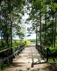 Foot bridge in the middle of forest next to Delsj&ouml;n lake in gothenburg Sweden