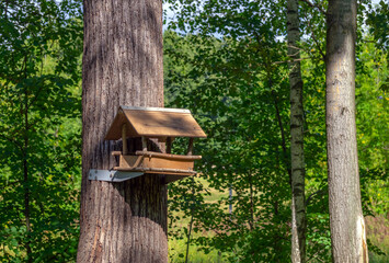 Squirrel feeder made of plywood and metal