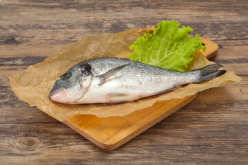 Raw Dorada fish  for cooking
