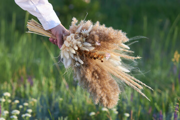 Bouquet of wild dried flowers in a female hand against a background of a green meadow.