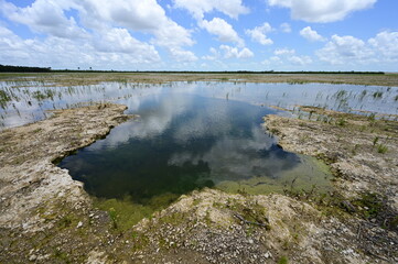 Solution Hole in Hole-In-The-Donut restoration project area in Everglades National Park, Florida under summer cloudscape.