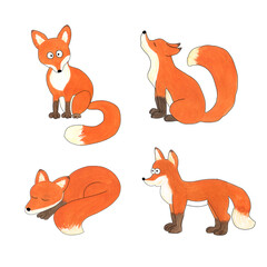 Watercolor illustration of cute foxes. Set of cartoon animals on a white background for printing, t-shirts,postcards, children's design, etc 