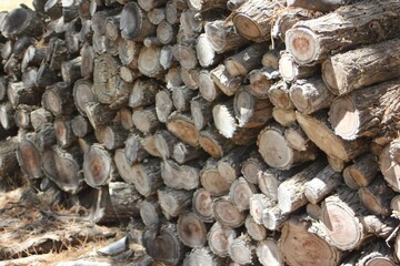 Wood pile