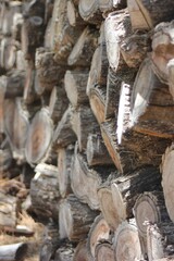 Wood pile