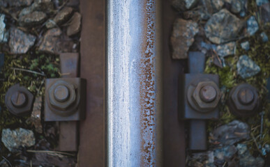 old rusty rail in the woods close up