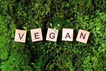 the word vegan. The word vegan is written on a green background of moss. Letters on wooden blocks...