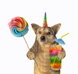The beige dog unicorn is holding a lollipop and a glass of rainbow juice with a straw drinking. White background. Isolated.