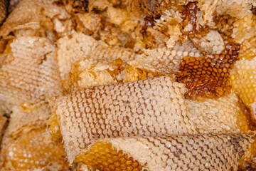 The texture of the honeycomb. Thin layers of honey lie in a pile. A lot of beeswax and honey on it, the remains after removing the honey from the frames of the hive. Beekeeping.
