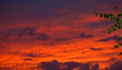 Obraz premium beautiful dark burgundy sunset, evening sky with clouds