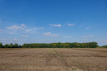 Fototapeta na wymiar Outdoor sunny view of empty agricultural land after ploughed with background of tree against blue sky.