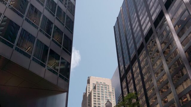 The Downtown Chicago Skyscrapers to street.