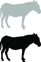 silhouette of a donkey