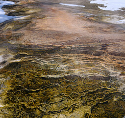 Abstract ripples and microorganism growth in a pool near the Overlook at Mammoth Hot Springs Yellowstone Park in winter
