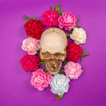 Day of the dead. Mexico. A skull framed in bright colors. Skull and flowers on a lilac background. Bright drawing for the Day of the dead. Celebration in Mexico.