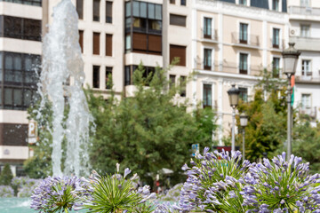 Fountain of Battles in Granada surrounded by purple agapanthus flowers (Agapanthus africanus) bathed in refreshing water