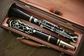 Naklejka premium old wind instrument clarinet in case