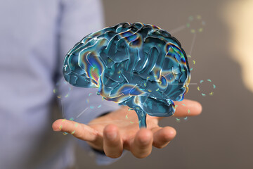 human brain imagination learning and mind