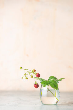 Branch of wild raw ripe strawberries with flowers and leaves in glass jar on light pink surface