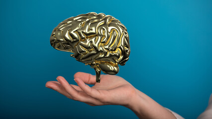 human brain imagination learning and mind