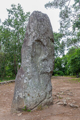 the famous megalithic alignments of Carnac, in Brittany