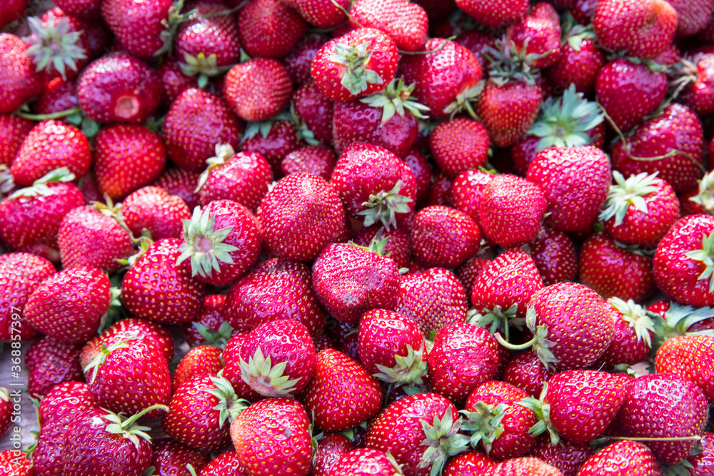 Wall mural fresh organic red ripe strawberry fruit background closeup.