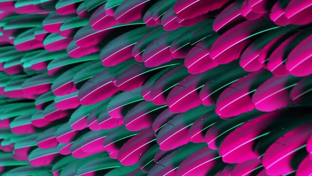 Beautiful Background Of Iridescent Feathers. 3D Animation. 4K. 3840x2160.