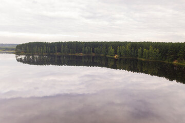 summer natural green landscapes in the early morning with trees by the lake