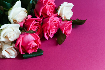 Pink and white roses on pink background.
