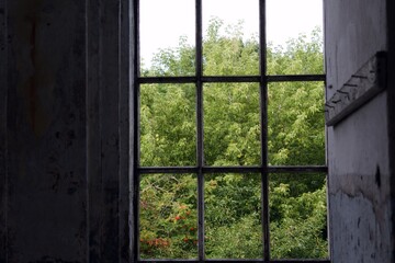 green garden through old dirty window grate