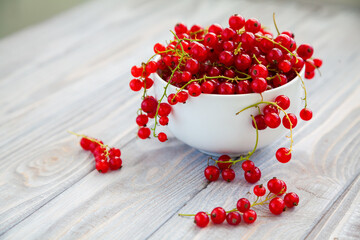 Close-up tasty red currant