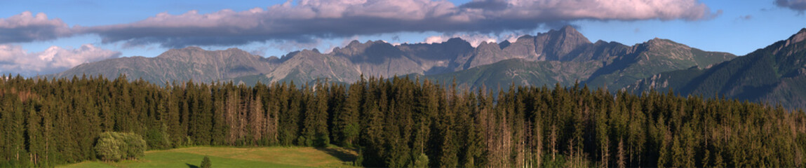 Fototapeta na wymiar Zakopane Butorów - Panorama Tatr Wysokich