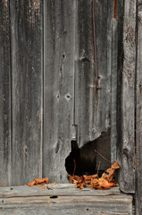 Fototapeta na wymiar Old wooden building with hole in the corner and autumn leaves