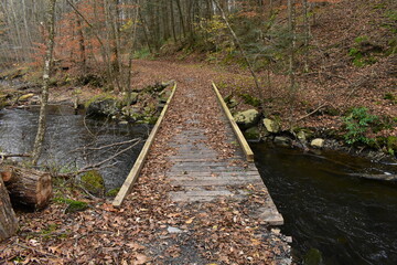 A Man-Made Wooden Bridge Crossing a Small River