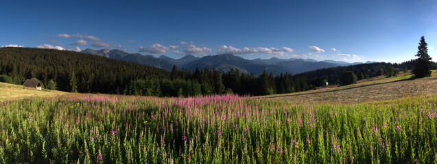 Zakopane, Kościelisko - Panorama na Tatry z okolic Butorowego Wierchu © Ola i Eryk