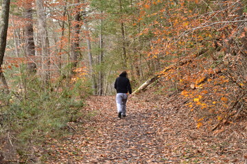 A Man in a Black Hoodie Walking Through an Autumn Forest