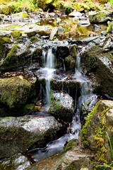 Fototapeta premium kleiner Wasserfall