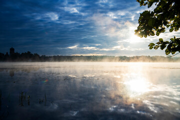 summer natural green landscapes in the early morning with trees by the lake