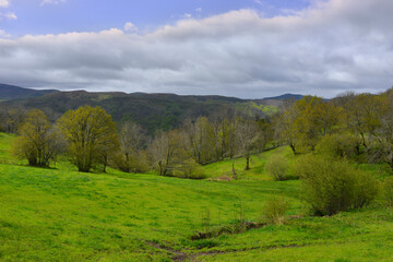 Paysage environnant à Fraissinet-de-Lozère (48220), Lozère en Occitanie (France)