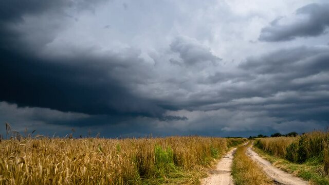 Dramatic storm clouds timelapse over rye fields. Coutry road leading to the center of the hurricane. Very windy weather. Road to the field of wheat against the background of dark sky