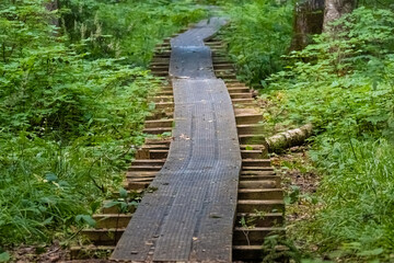 Beaver Trail, Soomaa (