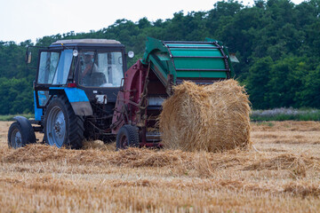 A tractor with a trailed bale making machine collects straw rolls in the field and makes round large bales