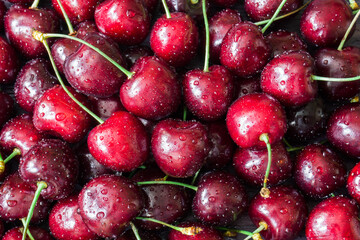 Close-up of fresh ripe sweet cherries with water drops on it