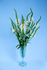 Bouquet of white flowers, plant in a vase on blue background